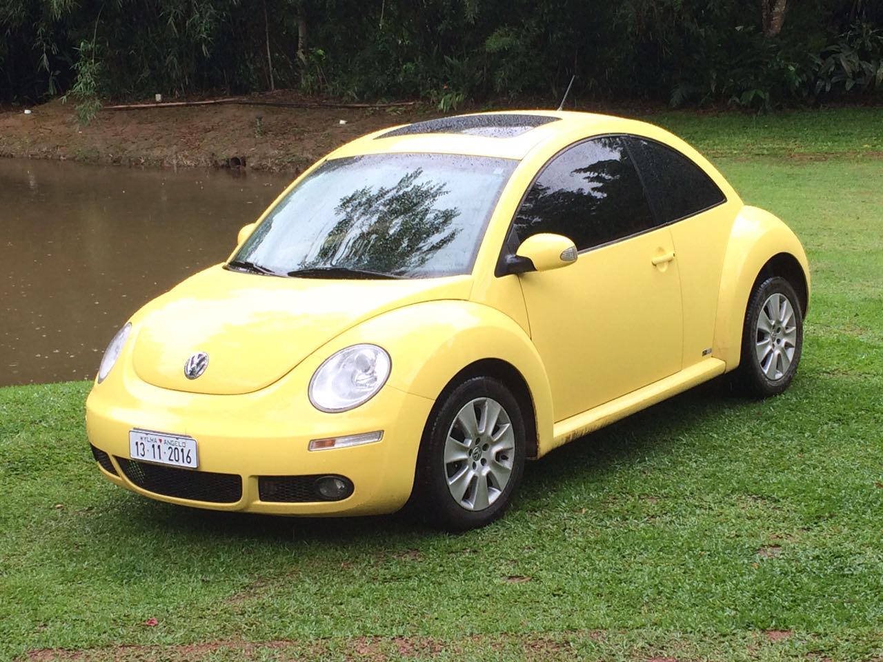Volkswagen New Beetle
